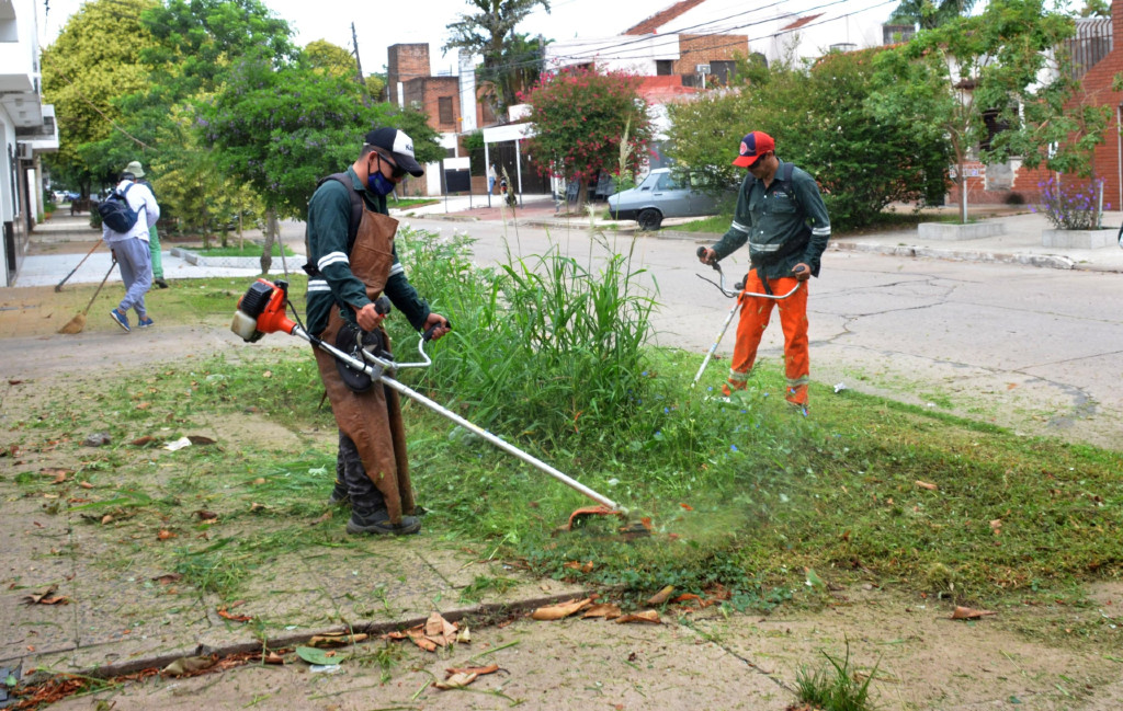Limpieza y desmalezamiento entre las avenidas Ávalos, 25 de Mayo y Rivadavia